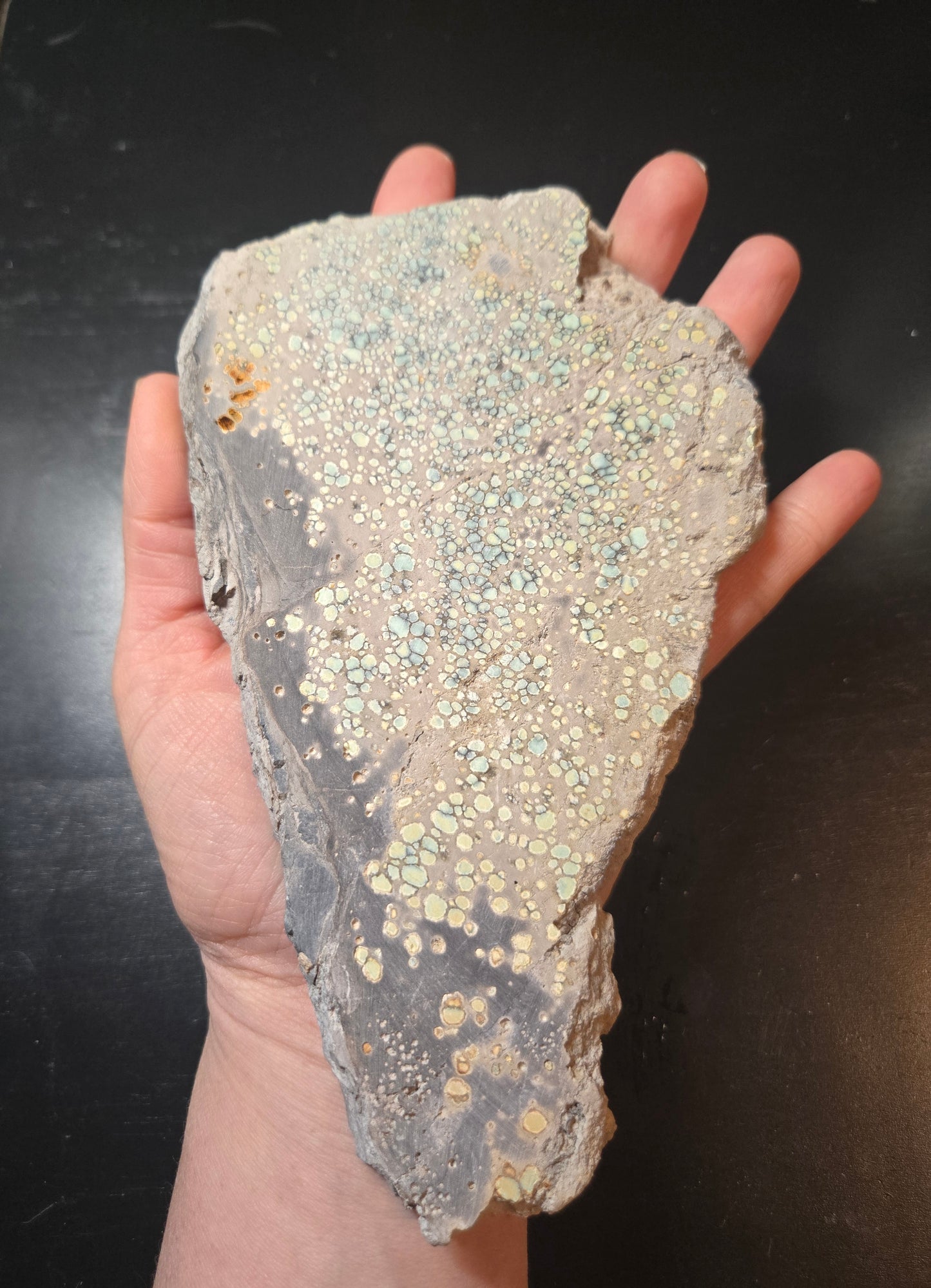 Desert Bloom Variscite/Turquoise slab for cabbing - Nevada Variscite - 282 grams