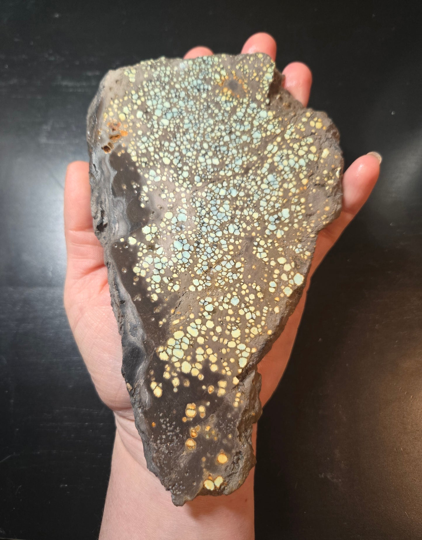Desert Bloom Variscite/Turquoise slab for cabbing - Nevada Variscite - 282 grams
