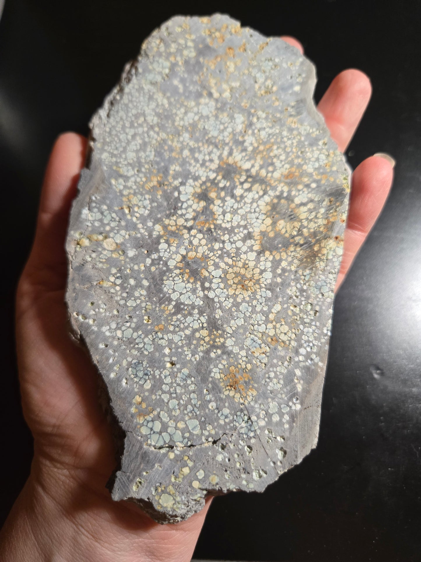 Desert Bloom Variscite/Turquoise slab for cabbing - Nevada Variscite - 227 grams