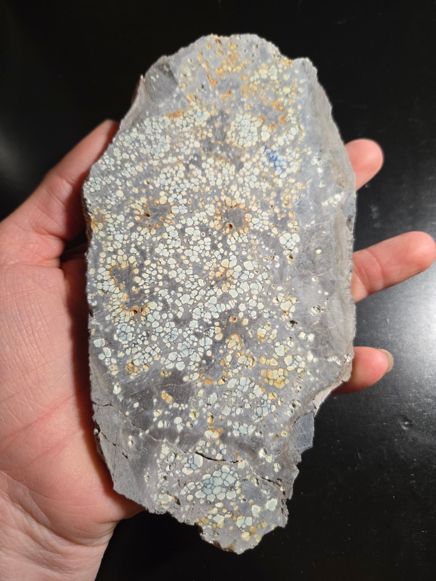 Desert Bloom Variscite/Turquoise slab for cabbing - Nevada Variscite - 227 grams