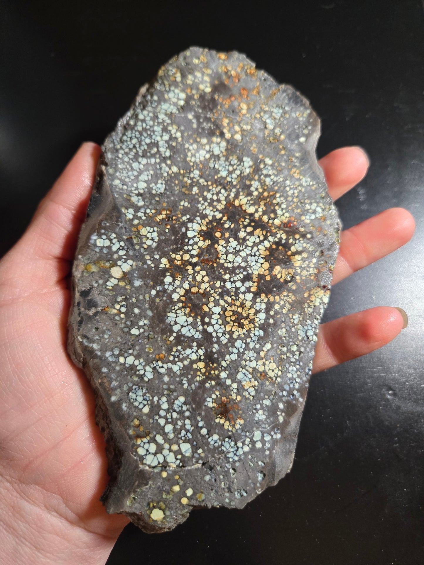 Desert Bloom Variscite/Turquoise slab for cabbing - Nevada Variscite - 227 grams
