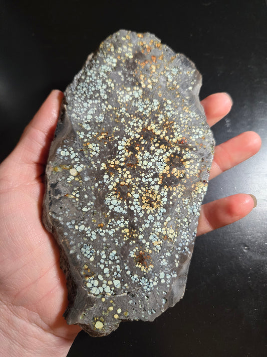 Desert Bloom Variscite/Turquoise slab for cabbing - Nevada Variscite - 227 grams