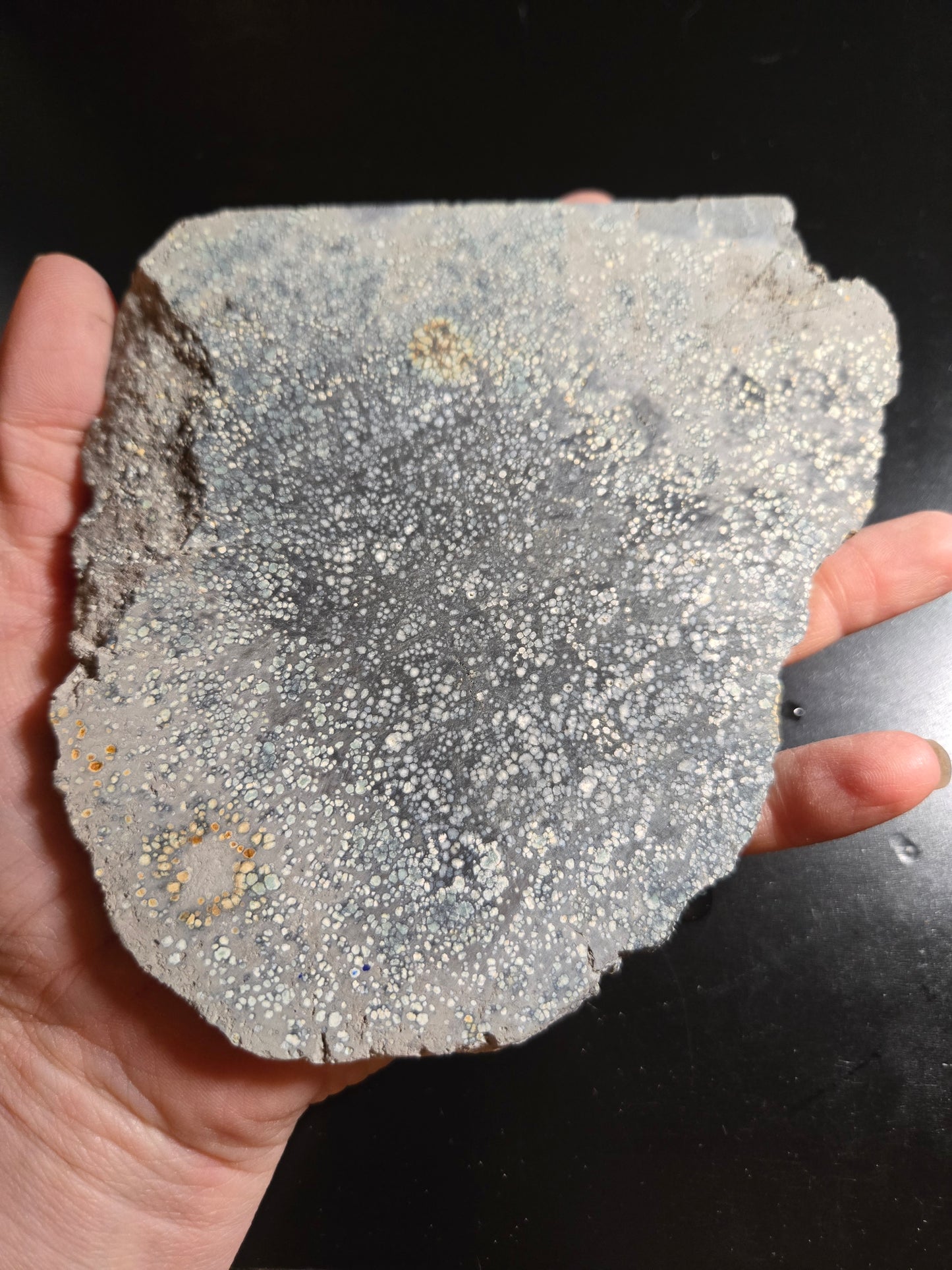 Desert Bloom Variscite/Turquoise slab for cabbing - Nevada Variscite - 276 grams