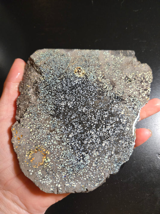 Desert Bloom Variscite/Turquoise slab for cabbing - Nevada Variscite - 276 grams