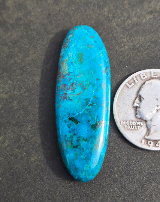 Rowley Mine Chrysocolla Cabochon