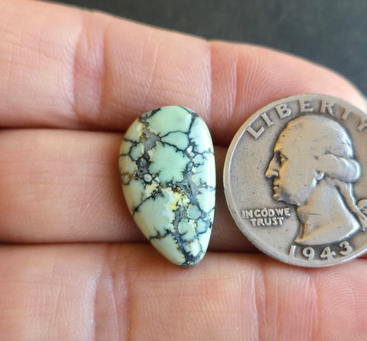 Saguaro Variscite Cabochon