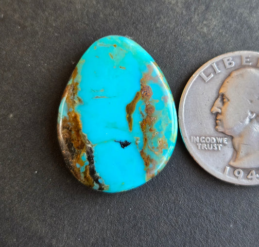 Kingman Mine Hardy Pit Turquoise Cabochon