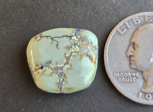 Saguaro Variscite Cabochon
