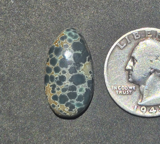 Candelaria Hills Variscite Cabochon