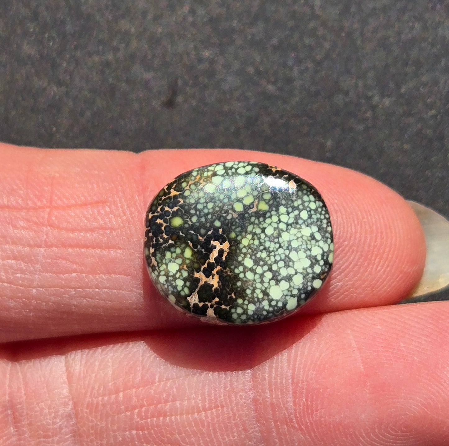 Damele Variscite Cabochon