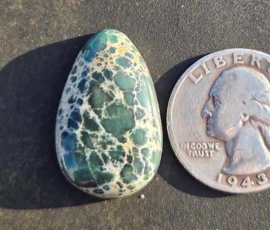 Candelaria Hills Variscite Cabochon