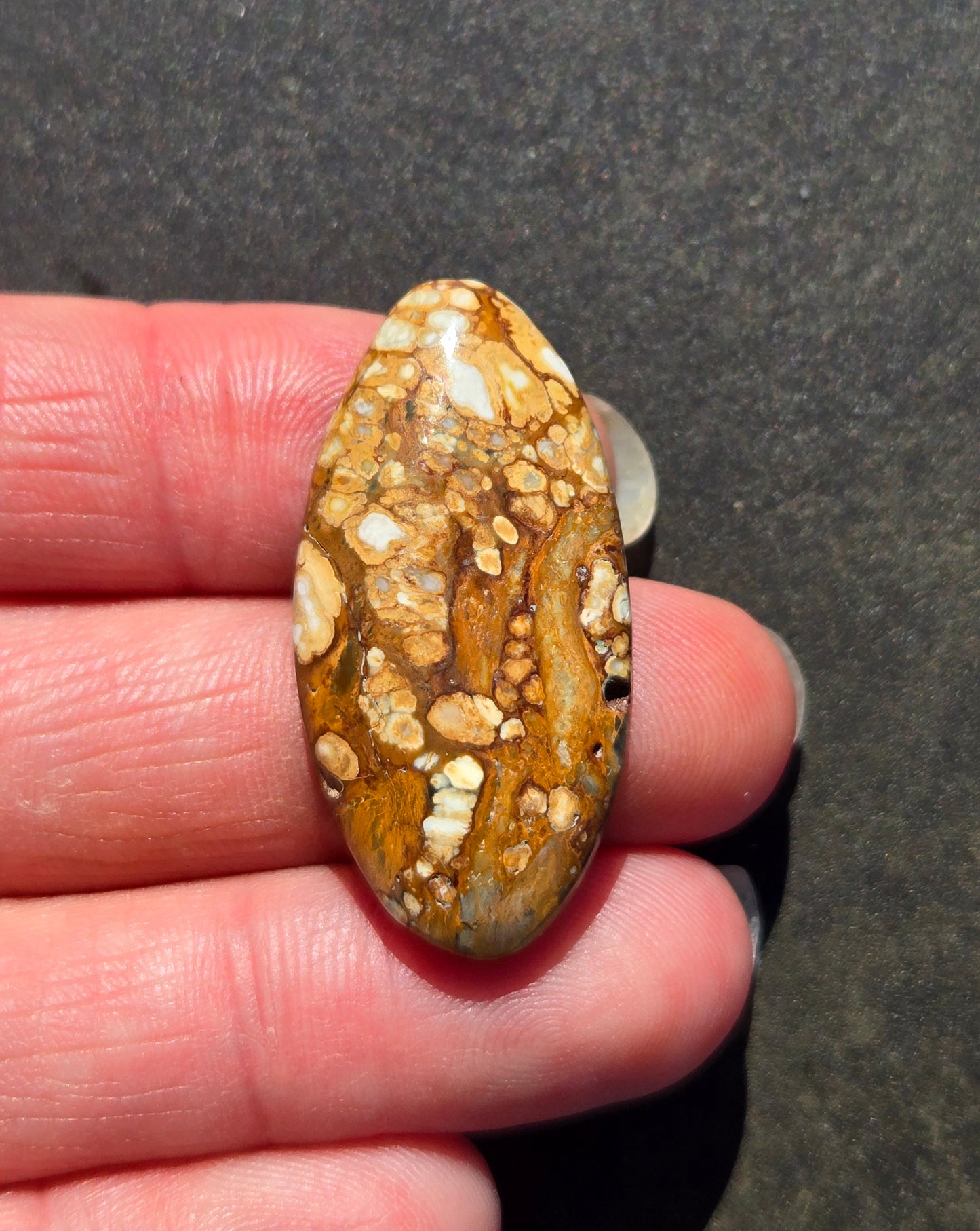 Seven Dwarfs Variscite Cabochon 7D