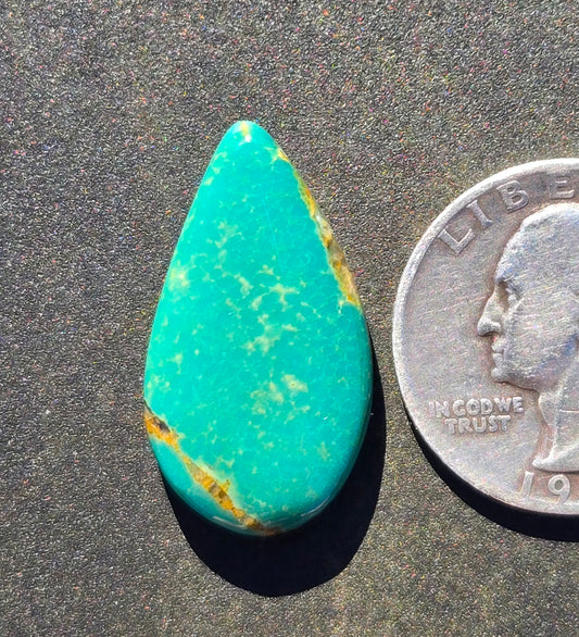 Kingman Mine Green Hardy Pit Turquoise Cabochon