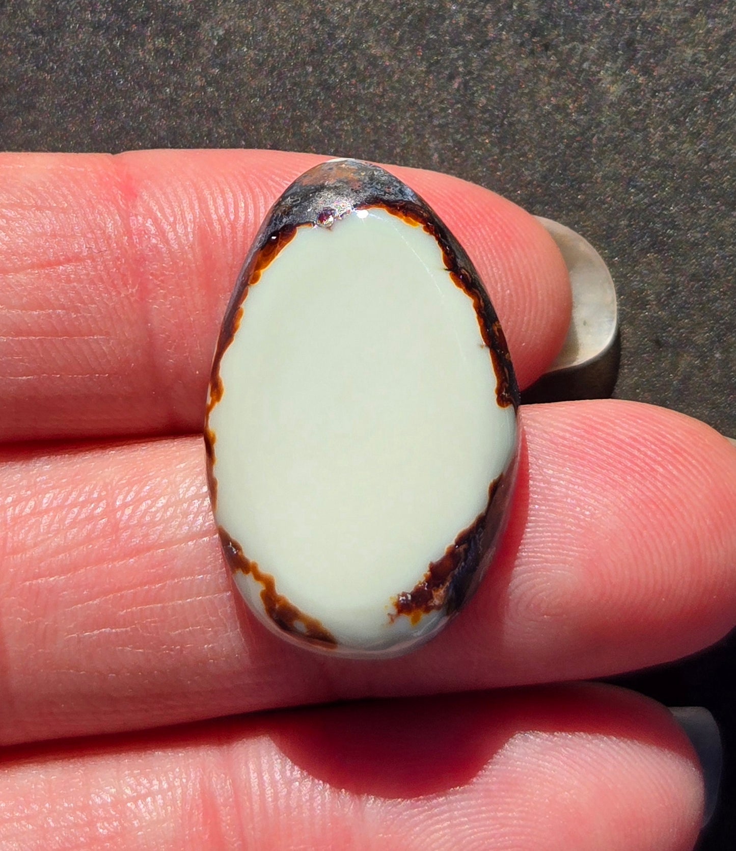 Aloe Variscite Cabochon
