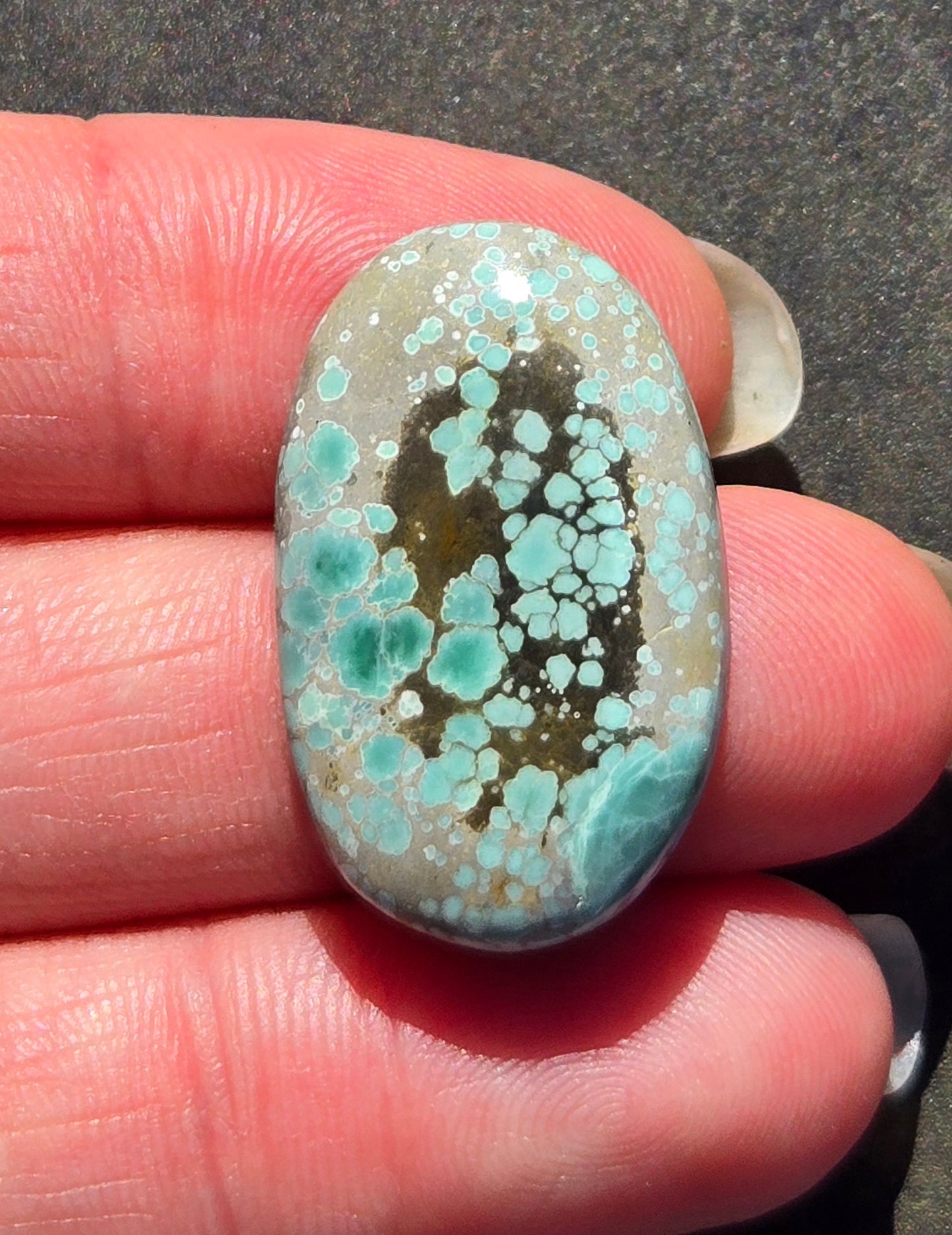 Turtleback Variscite Cabochon