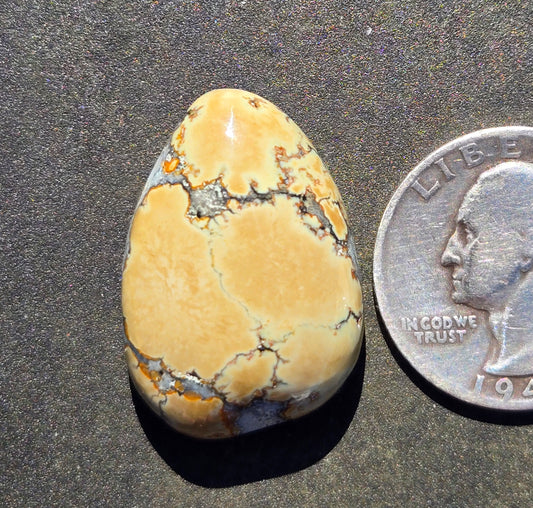 Saguaro Variscite Cabochon