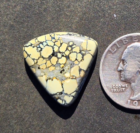 Saguaro Variscite Cabochon