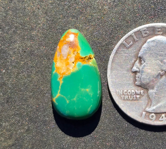 AAA Kingman Green Hardy Pit Turquoise Cabochon