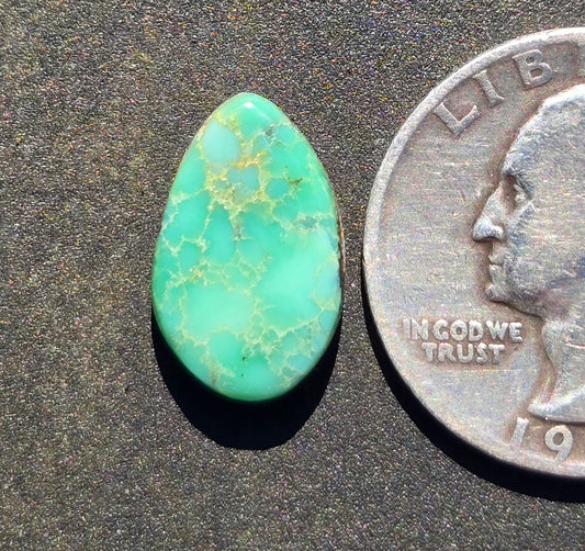 C&T Mine Variscite Cabochon