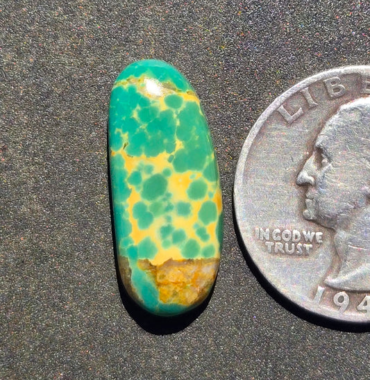 AAA Kingman Green Hardy Pit Turquoise Cabochon