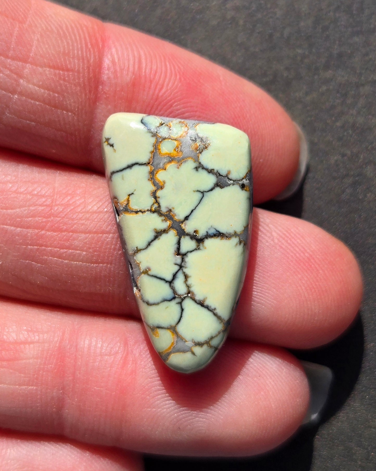 Saguaro Variscite Cabochon
