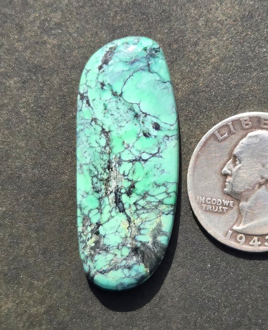 Black Bridge Variscite Cabochon