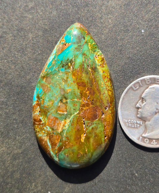 Patagonia Turquoise Cabochon