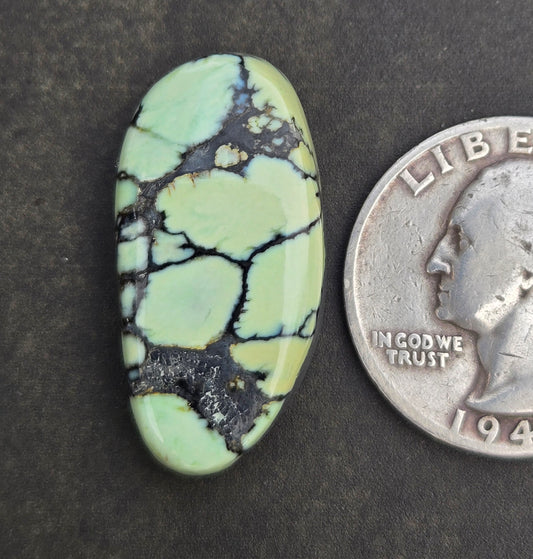 Saguaro Variscite Cabochon