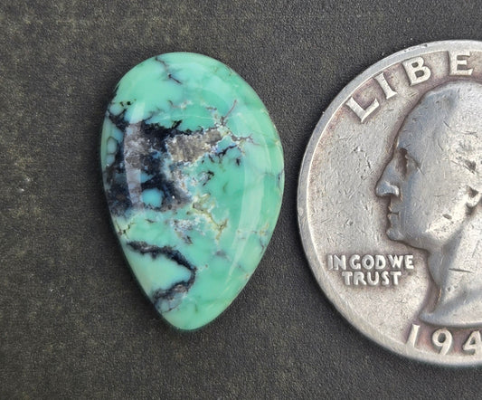 C&T Mine Variscite Cabochon