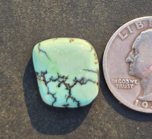 Saguaro Variscite Cabochon