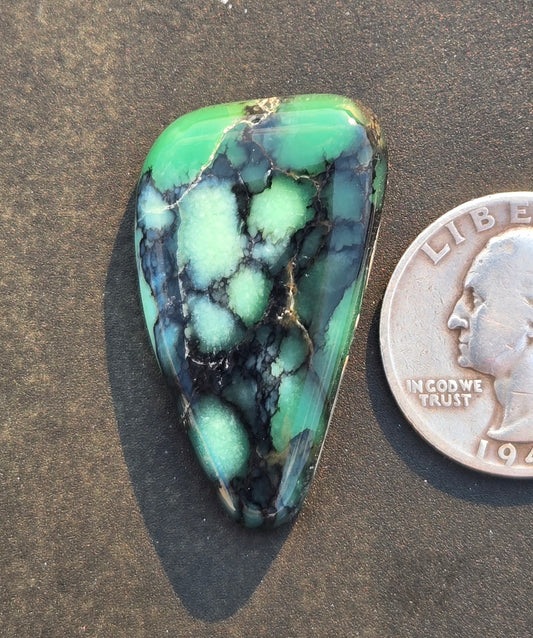 Starfox Variscite Cabochon