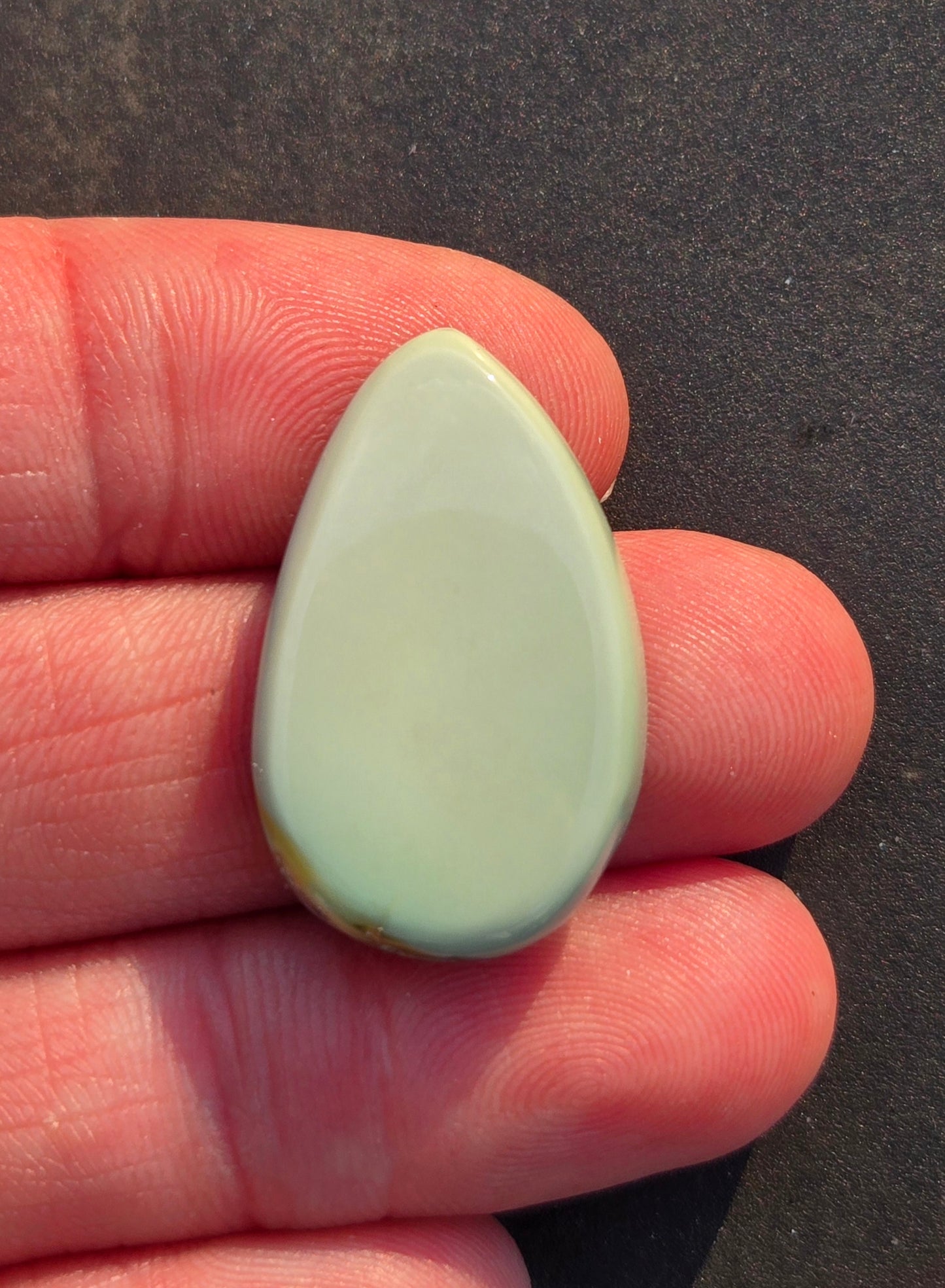 Frog Blossom Variscite Cabochon