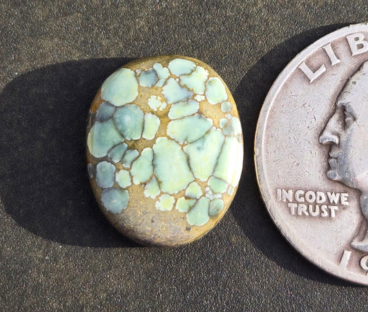 Turtleback Variscite Cabochon