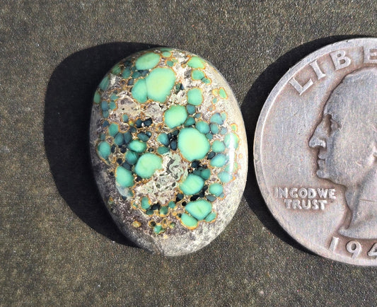 Turtleback Variscite Cabochon