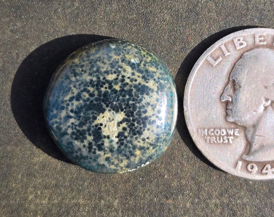 Turtleback Variscite Cabochon