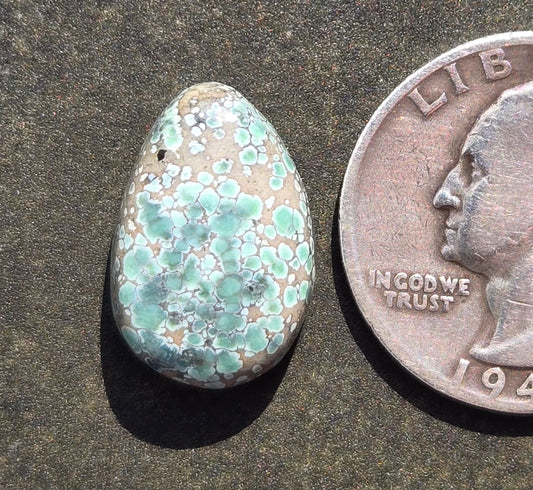 Candelaria Hills Variscite Cabochon