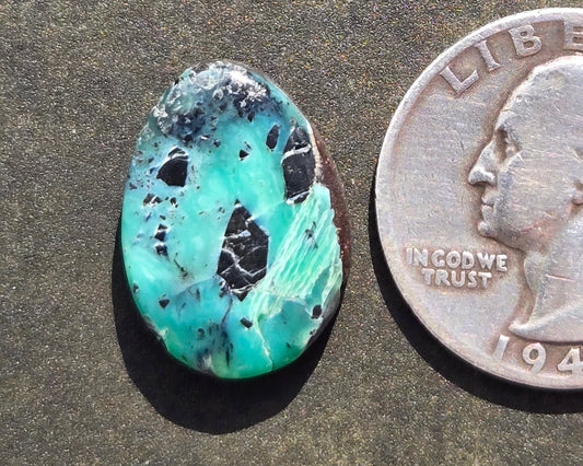 Apache Variscite/Turquoise Cabochon