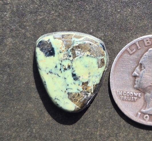 Colina Verde Variscite Cabochon