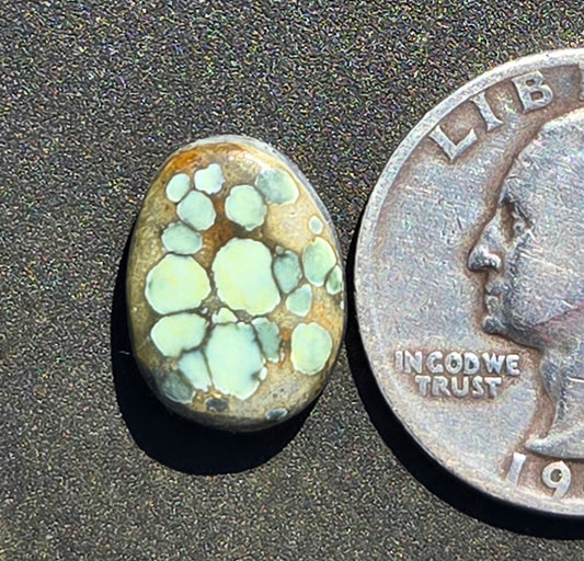 Turtleback Variscite Cabochon