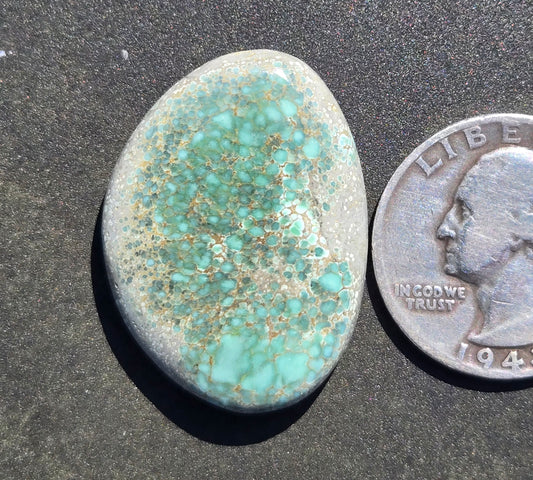 Turtleback Variscite Cabochon