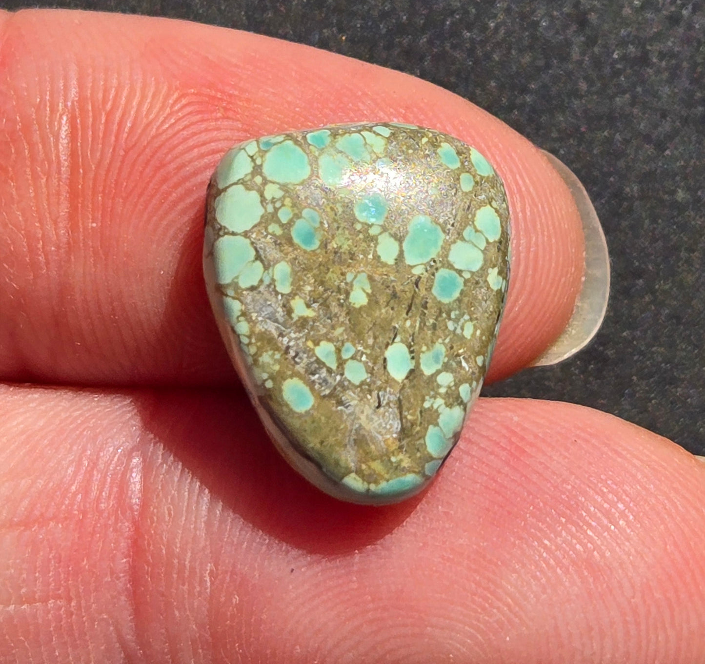 Prince Mine Variscite Cabochon