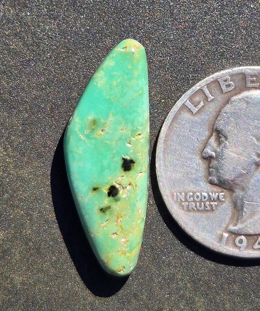 Prince Mine Variscite Cabochon