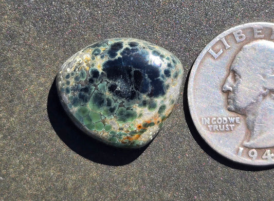 Candelaria Hills Variscite Cabochon