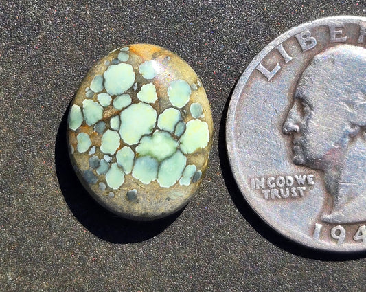 Turtleback Variscite Cabochon