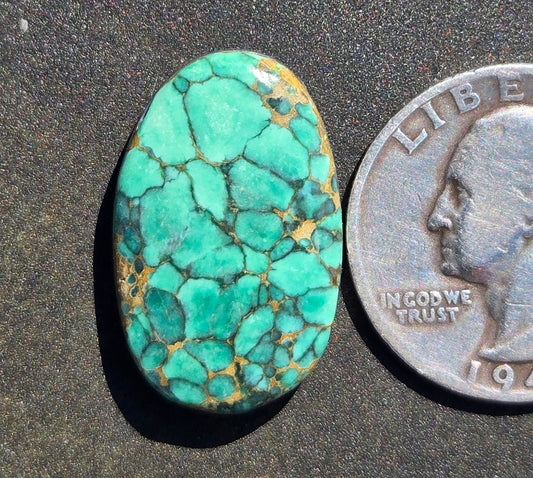 Turtleback Variscite Cabochon