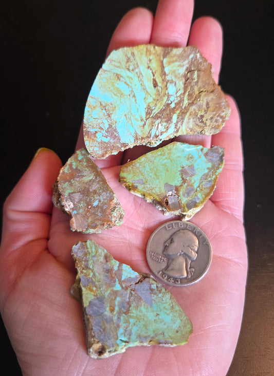 Patagonia Turquoise slabs for cabbing - 50 grams