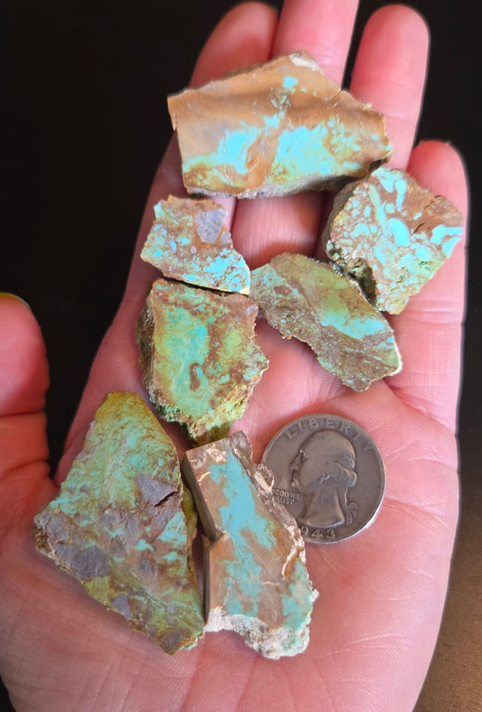 Patagonia Turquoise slabs for cabbing - 50 grams