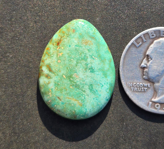 Campitos Turquoise Cabochon