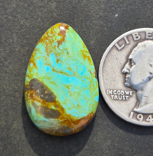 Patagonia Turquoise Cabochon