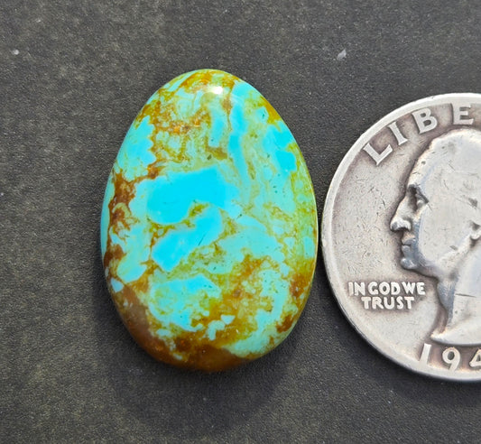 Patagonia Turquoise Cabochon